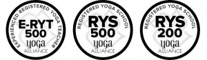 YA 3logos